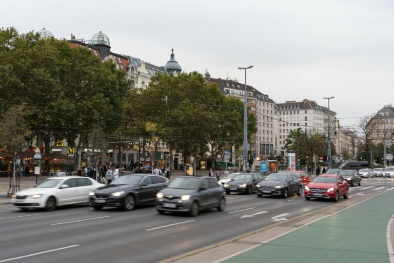 Autos fahren über den Schwedenplatz, grüner Radweg, Bäume