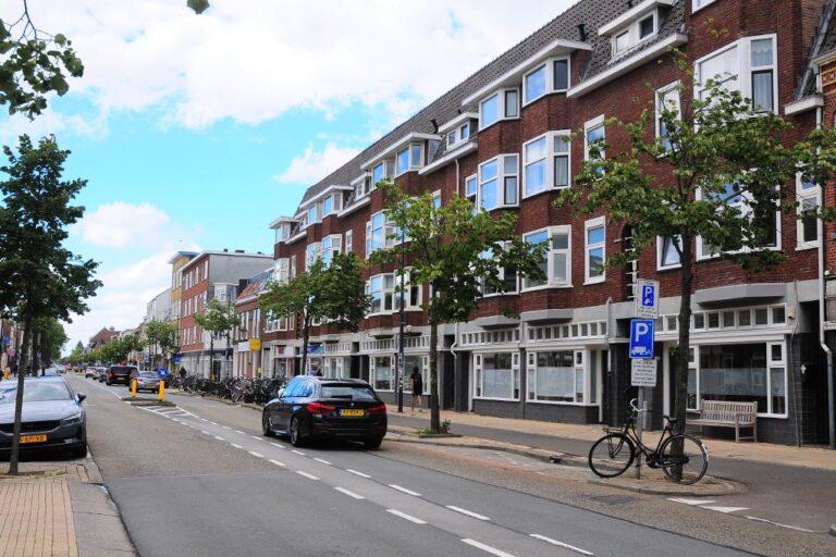 Straße in Utrecht, Bäume, Autos, Wohnhäuser