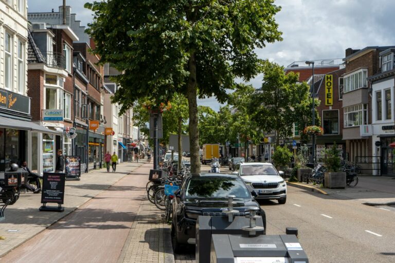 Straße mit baulich ausgeführtem Radweg in den Niederlanden, Autos, Bäume, Müllbehälter