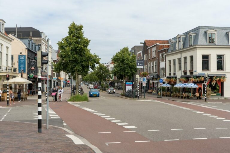 Kreuzung in Utrecht, Blick in eine Straße mit Bäumen auf beiden Seiten und baulich ausgeführten Radwegen, niedrige Häuser