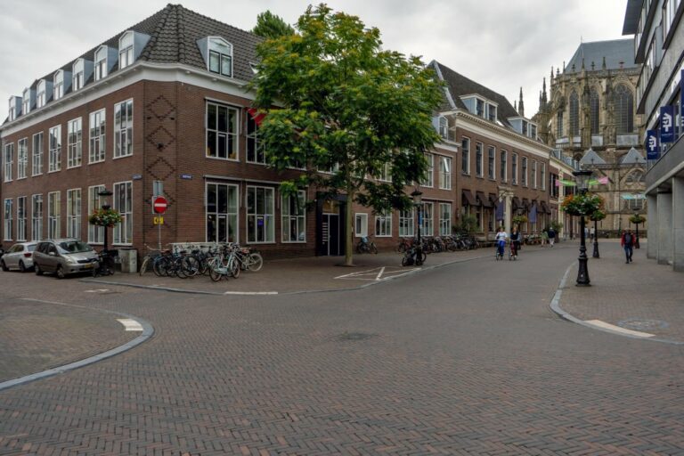 Straße in Utrecht, Baum, Backsteingebäude