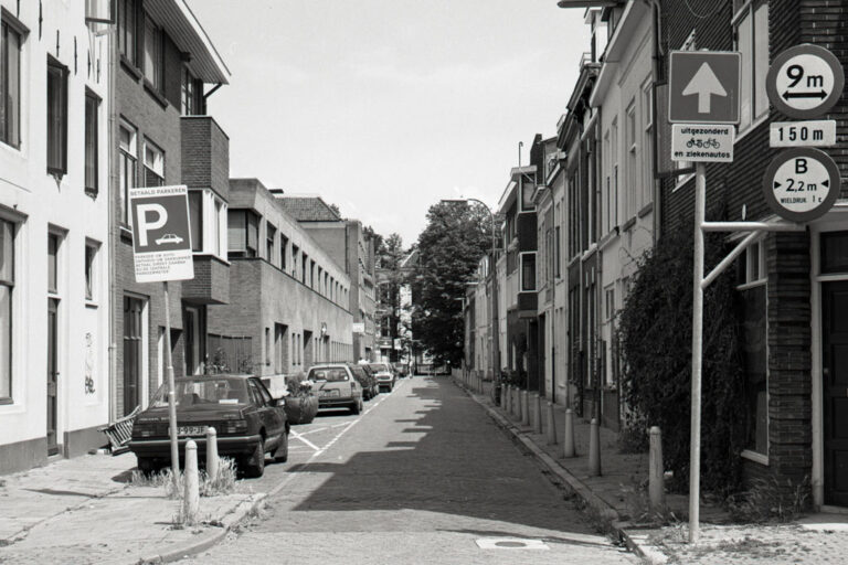 Straße in den Niederlanden, links parkende Autos