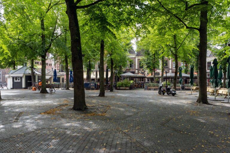 Bäume auf einem Platz in Utrecht