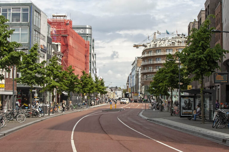 leere Straße, Allee