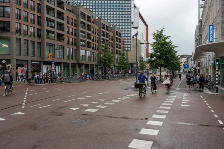 Straße mit Bäumen und Radweg in den Niederlanden