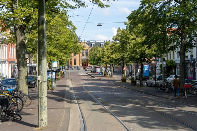 Straße mit Straßenbahngleisen und Bäumen in Den Haag