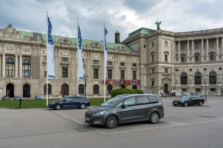 Autos, Hofburg, Fahnen der OSCE