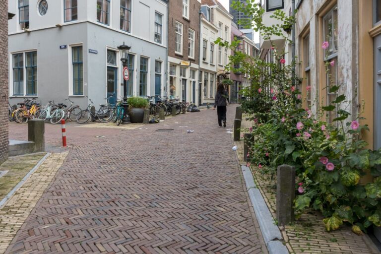 gepflasterte Straße mit an den Rändern wachsenden Pflanzen in den Niederlanden