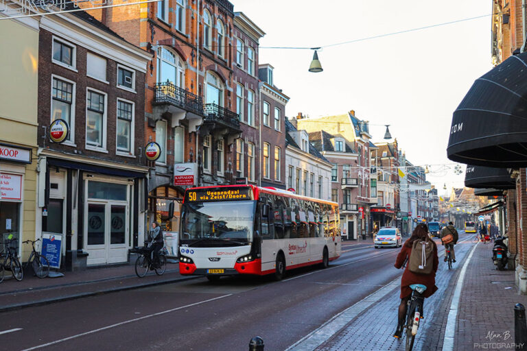 Autobus, Radfahrer, Straße