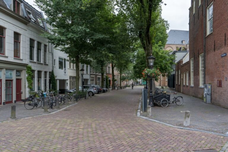 Straße mit Bäumen auf beiden Seiten, Altstadt von Utrecht