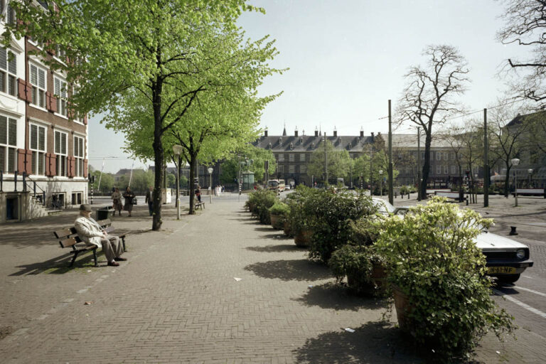 Mann sitzt auf einer Bank, Platz in Den Haag, Pflanzen, Autos