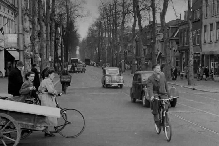 Straße in den Niederlanden, Autos, Radfahrer, Bäume