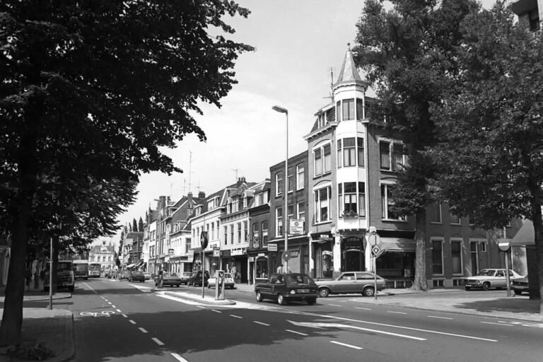 Straße mit Bäumen und alten Häusern