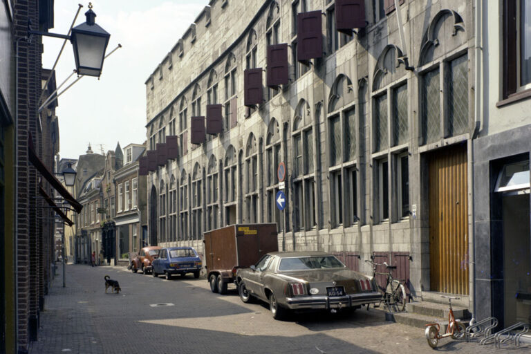 Autos, Fahrräder, Hund, historisches Gebäude