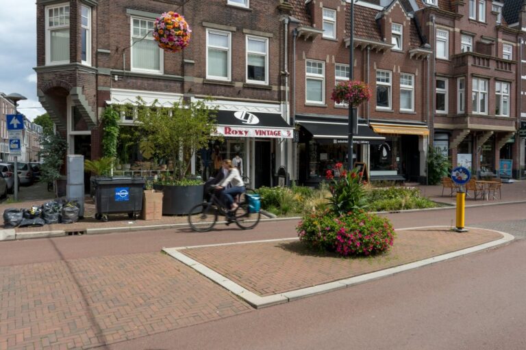 Radfahrerin fährt auf einer Straße in Utrecht, Verkehrsinsel, alte Häuser, Grünflächen