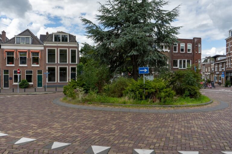 Kreisverkehr in Utrecht, kleine Häuser, Baum, gepflasterte Fahrbahn
