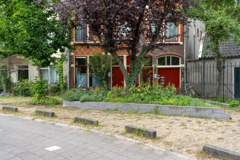 Begrünung vor Häusern in Utrecht, Bäume, Kurve