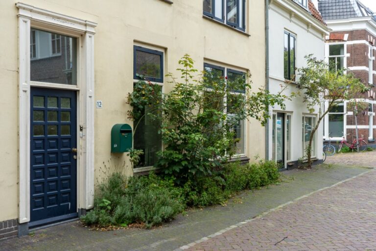 Pflanzen vor Häusern in den Niederlanden