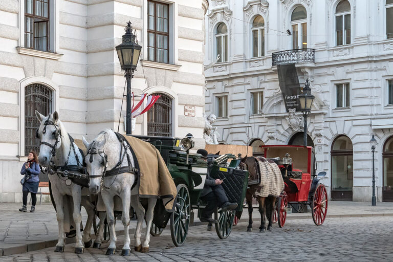 Fiaker vor der Hofburg am Michaelerplatz