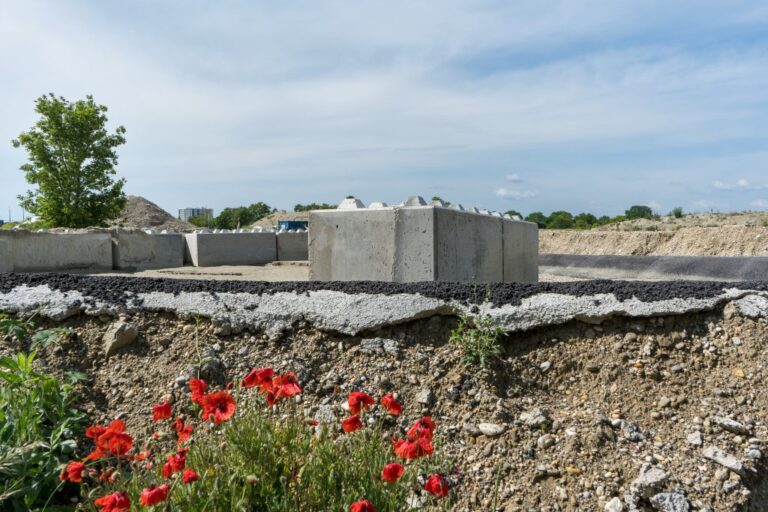 Baustelle, Beton, Mohnblumen, Erde, Asphalt