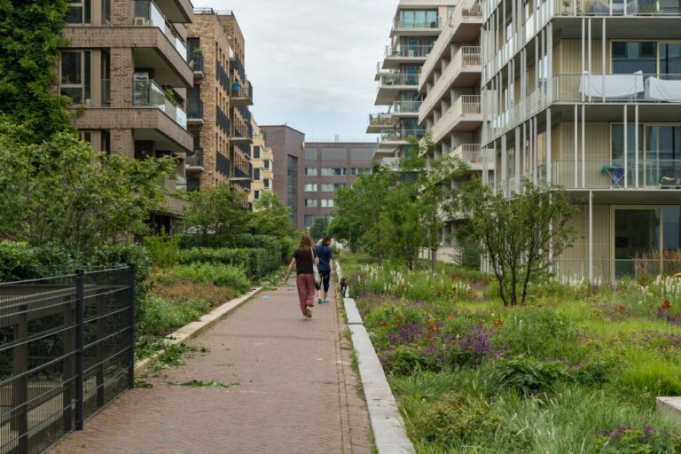 Fußweg zwischen neuen Wohnhäusern in Amsterdam, Bäume, Grünflächen, Frau und Mann mit Hund