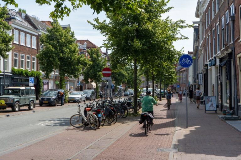 Leute fahren auf einem Radweg, Bäume, Straße, Autos