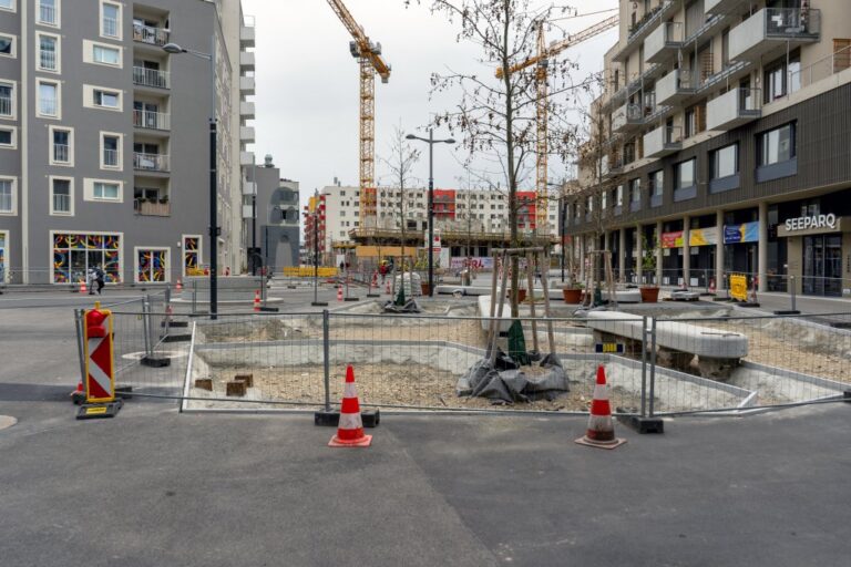 Bauarbeiten in Aspern, Baumscheiben