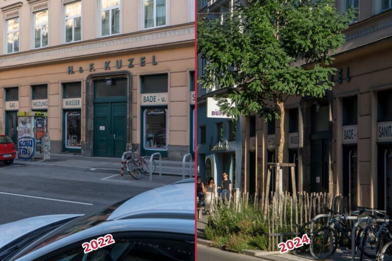 Straße in Wien-Neubau, Geschäft, H. & F. Kuzel, Baum