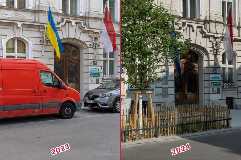 links parkende Autos, rechts Baum