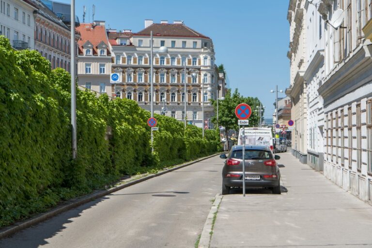 Straße, Fassadenbegrünung, Gründerzeithäuser