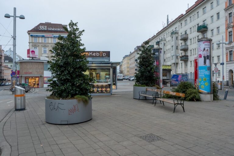 Platz mit Bäumen in Trögen