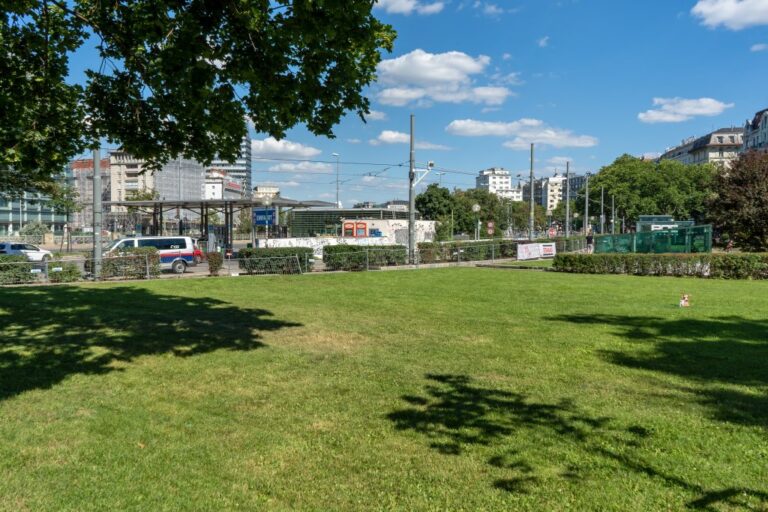 Rasenfläche am Morzinplatz in Wien