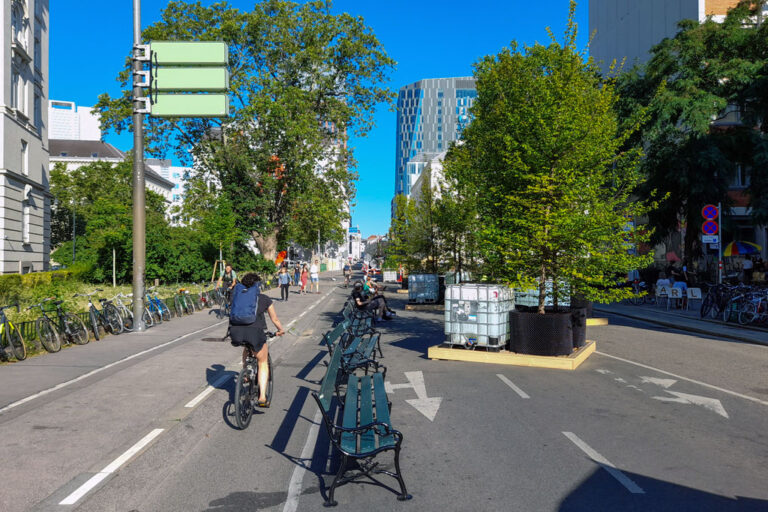 Radfahrer, Sitzbänke, Bäume, Straße